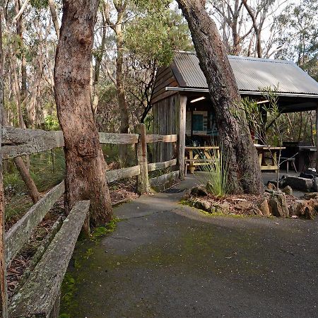 Jemby Rinjah Ecolodge Blackheath Eksteriør billede