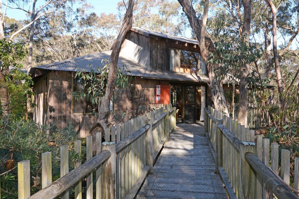 Jemby Rinjah Ecolodge Blackheath Værelse billede